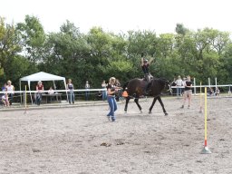 IMG_1386_web